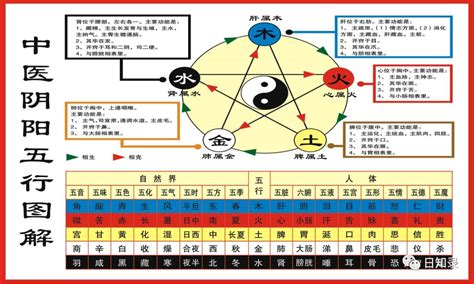 家里风水健康|住宅风水与健康